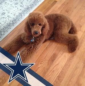 Meet your Posher, Thomas